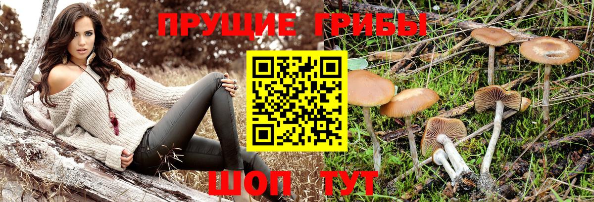 Галлюциногенные грибы мухоморы  Вход с VPN  Качканар  Галлюциногенные грибы Magic Shrooms 